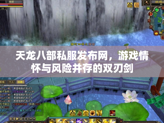 天龙八部私服发布网，游戏情怀与风险并存的双刃剑