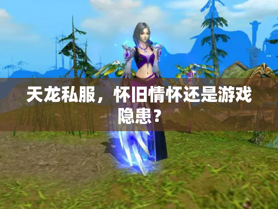 天龙私服，怀旧情怀还是游戏隐患？