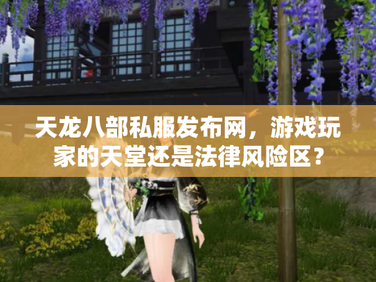 天龙八部私服发布网，游戏玩家的天堂还是法律风险区？
