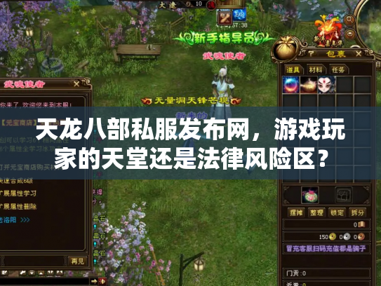 天龙八部私服发布网，游戏玩家的天堂还是法律风险区？