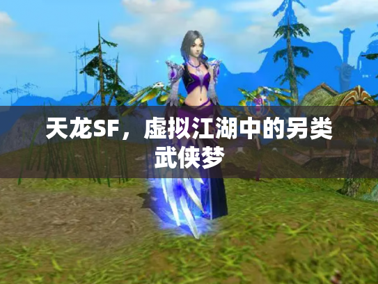 天龙SF，虚拟江湖中的另类武侠梦