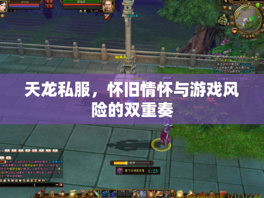 天龙私服，怀旧情怀与游戏风险的双重奏