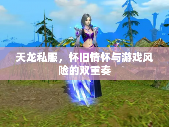 天龙私服，怀旧情怀与游戏风险的双重奏