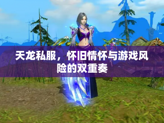 天龙私服，怀旧情怀与游戏风险的双重奏