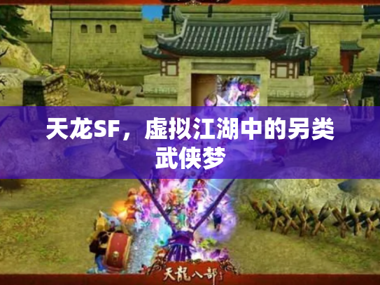 天龙SF，虚拟江湖中的另类武侠梦