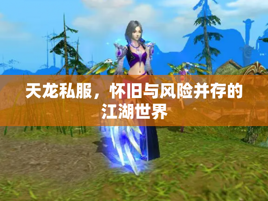 天龙私服，怀旧与风险并存的江湖世界
