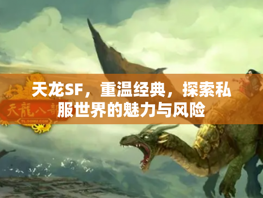 天龙SF，重温经典，探索私服世界的魅力与风险
