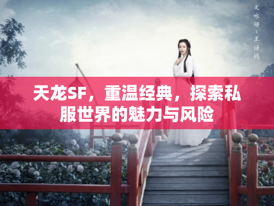 天龙SF，重温经典，探索私服世界的魅力与风险