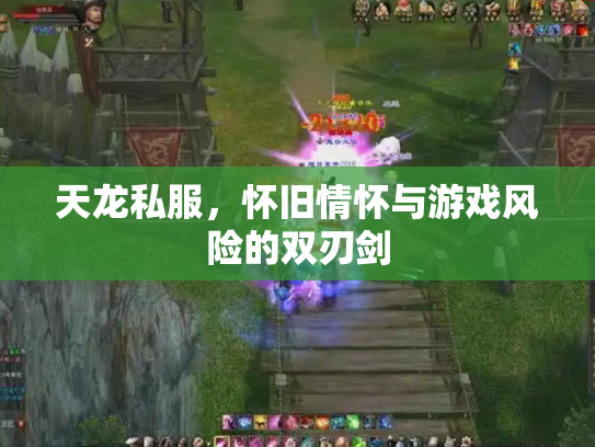 天龙私服，怀旧情怀与游戏风险的双刃剑