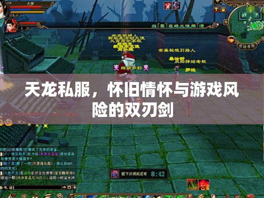 天龙私服，怀旧情怀与游戏风险的双刃剑