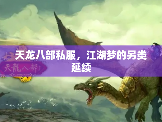 天龙八部私服，江湖梦的另类延续
