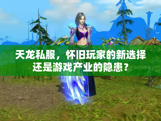 天龙私服，怀旧玩家的新选择还是游戏产业的隐患？