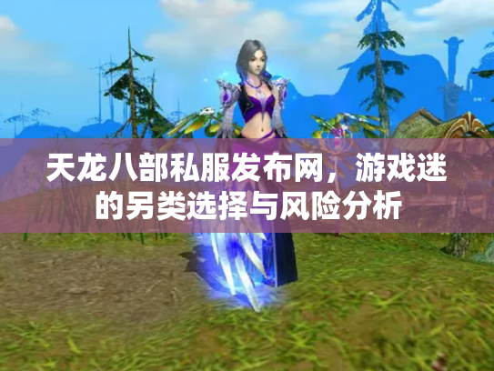 天龙八部私服发布网，游戏迷的另类选择与风险分析
