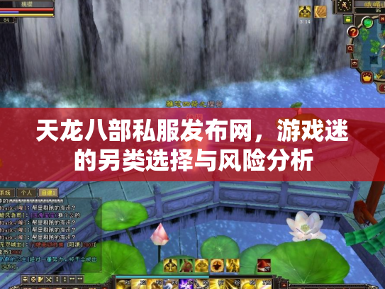 天龙八部私服发布网，游戏迷的另类选择与风险分析