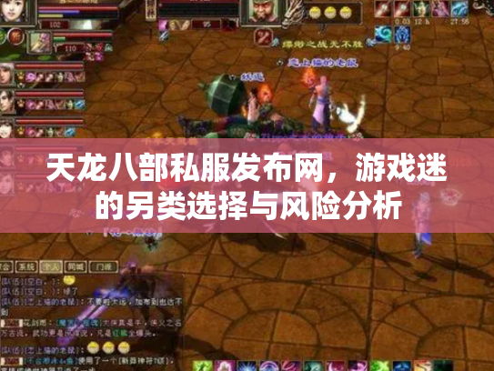 天龙八部私服发布网，游戏迷的另类选择与风险分析