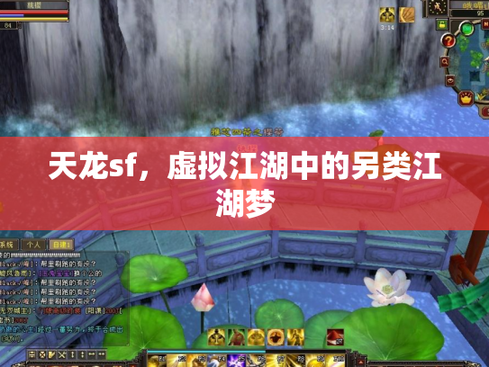 天龙sf，虚拟江湖中的另类江湖梦