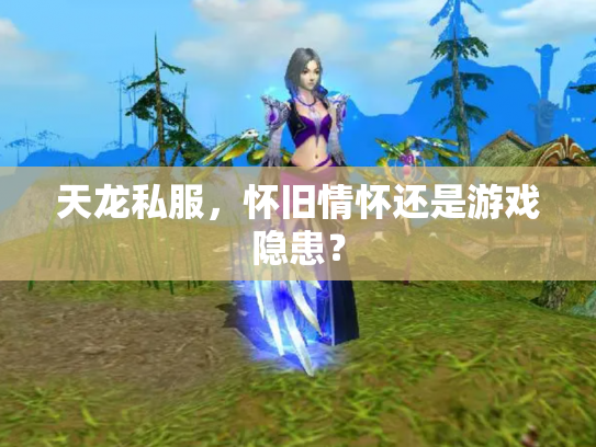 天龙私服，怀旧情怀还是游戏隐患？