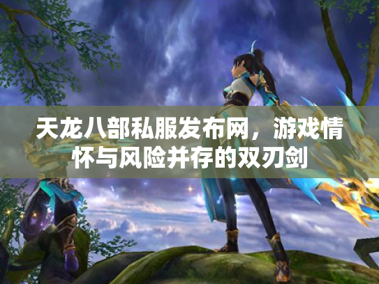 天龙八部私服发布网，游戏情怀与风险并存的双刃剑
