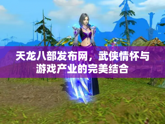 天龙八部发布网，武侠情怀与游戏产业的完美结合