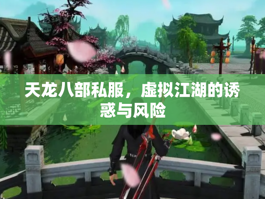 天龙八部私服，虚拟江湖的诱惑与风险