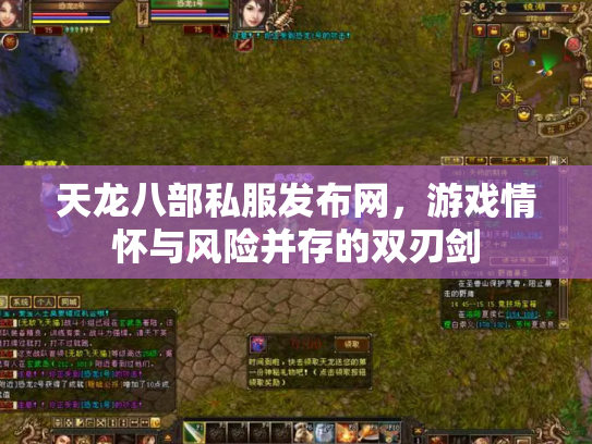 天龙八部私服发布网，游戏情怀与风险并存的双刃剑