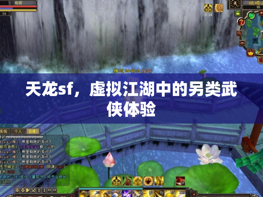 天龙sf，虚拟江湖中的另类武侠体验