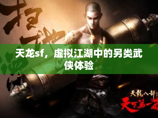 天龙sf，虚拟江湖中的另类武侠体验
