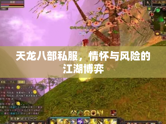 天龙八部私服，情怀与风险的江湖博弈