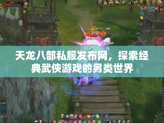 天龙八部私服发布网，探索经典武侠游戏的另类世界
