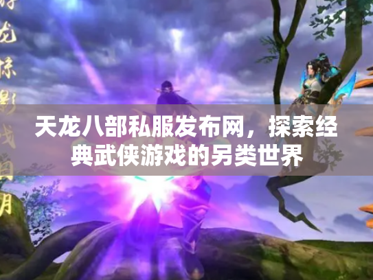天龙八部私服发布网，探索经典武侠游戏的另类世界