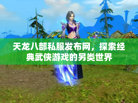 天龙八部私服发布网，探索经典武侠游戏的另类世界