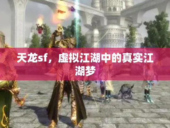 天龙sf，虚拟江湖中的真实江湖梦