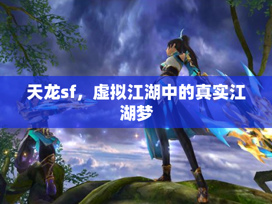 天龙sf，虚拟江湖中的真实江湖梦