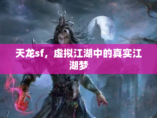 天龙sf，虚拟江湖中的真实江湖梦