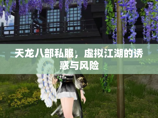 天龙八部私服，虚拟江湖的诱惑与风险