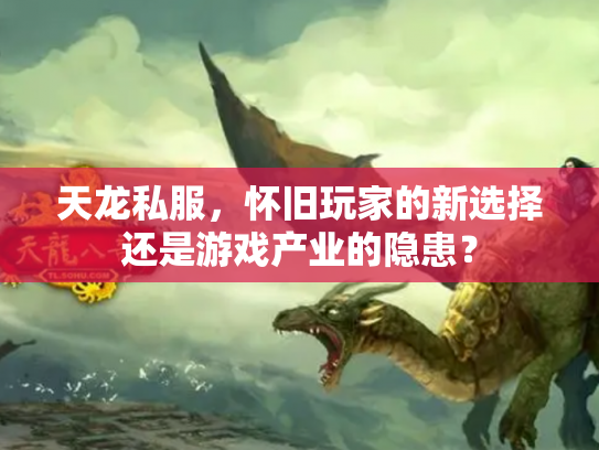 天龙私服，怀旧玩家的新选择还是游戏产业的隐患？