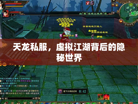 天龙私服，虚拟江湖背后的隐秘世界