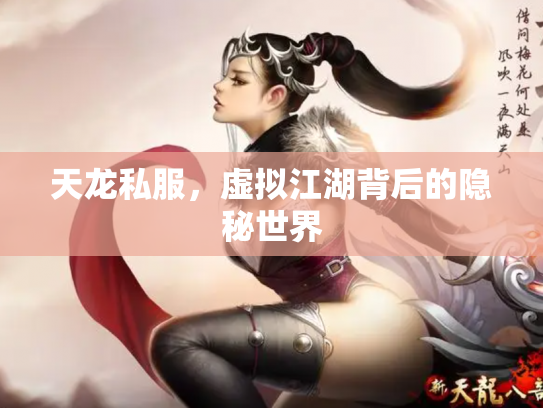 天龙私服，虚拟江湖背后的隐秘世界