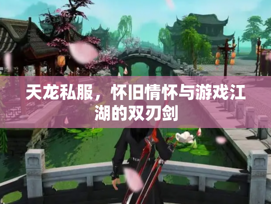 天龙私服，怀旧情怀与游戏江湖的双刃剑
