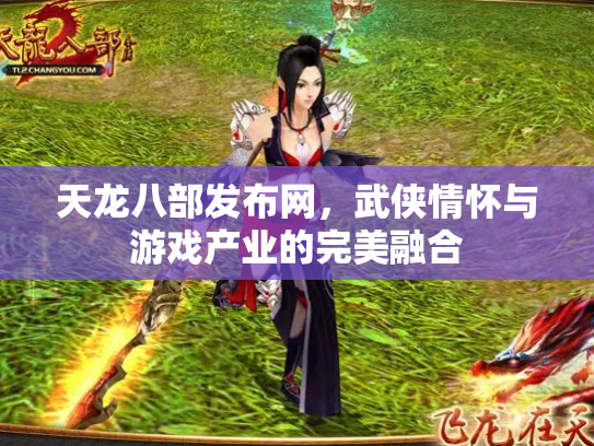天龙八部发布网，武侠情怀与游戏产业的完美融合