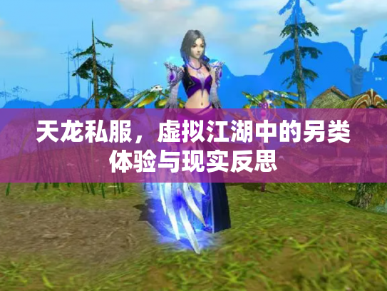 天龙私服，虚拟江湖中的另类体验与现实反思