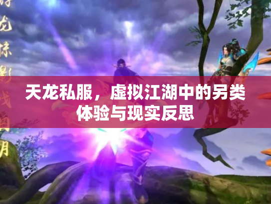 天龙私服，虚拟江湖中的另类体验与现实反思