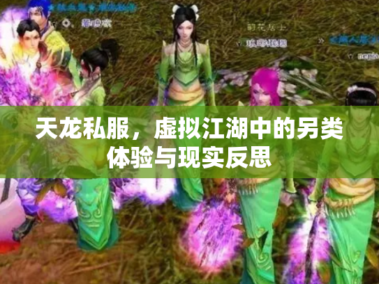 天龙私服，虚拟江湖中的另类体验与现实反思
