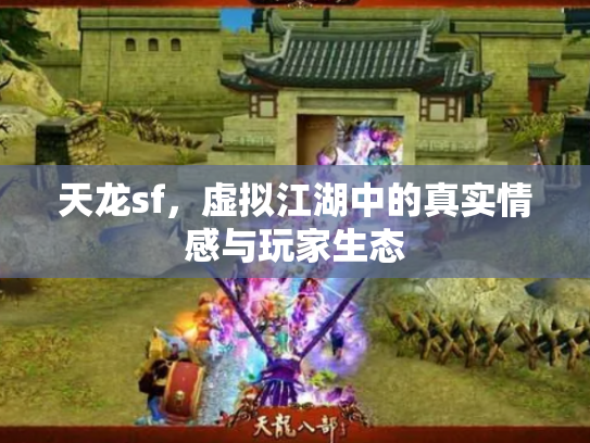 天龙sf，虚拟江湖中的真实情感与玩家生态