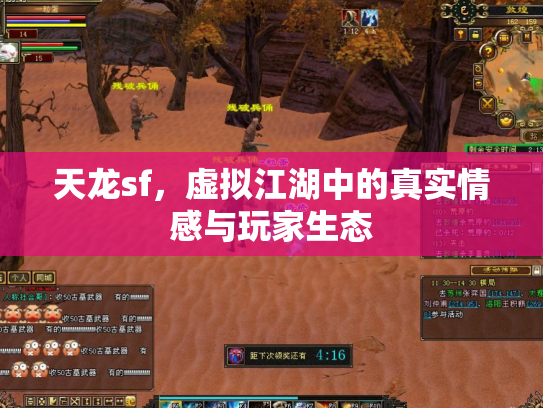天龙sf，虚拟江湖中的真实情感与玩家生态