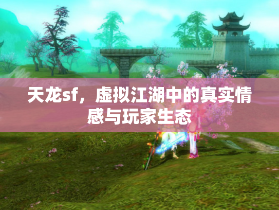 天龙sf，虚拟江湖中的真实情感与玩家生态