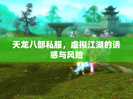 天龙八部私服，虚拟江湖的诱惑与风险