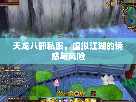 天龙八部私服，虚拟江湖的诱惑与风险