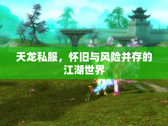 天龙私服，怀旧与风险并存的江湖世界
