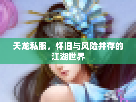 天龙私服，怀旧与风险并存的江湖世界